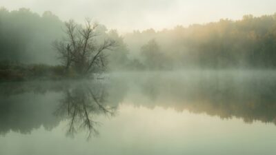 Почему от переживаний сводит живот и что с этим делать